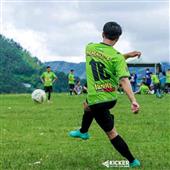 Cờ v