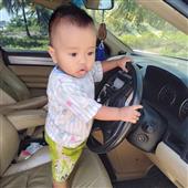Vợt 