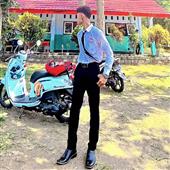 Trực