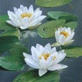 Dạ h