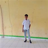 6 bò