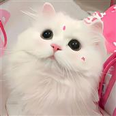 Tita