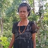 Dự đ