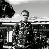 Đấu 