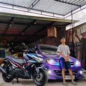 Gấu 