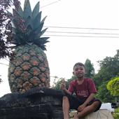 Soi 