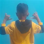 1 se