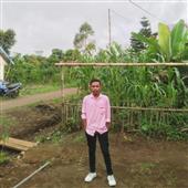 Dự đ