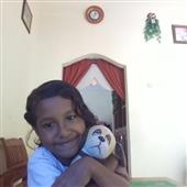 Cung