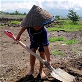 Bảo 