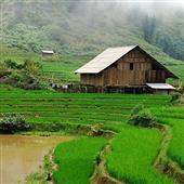 Giấc