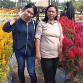 Băng