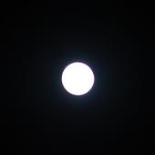 Công