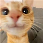 To g