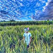 Xoil