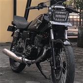 CỪU 