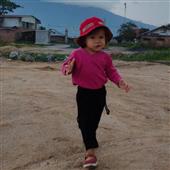 Poin