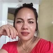 bò v