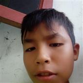 Trực