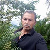 Giấc