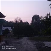 Poin