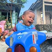 NoLi