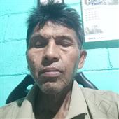 Tran