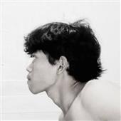 Phỉn