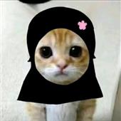 Bảng