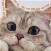 Ngộ 