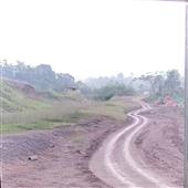 Sự t