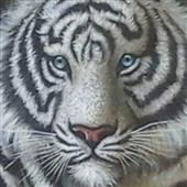 Bàn 