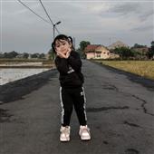 Máy 