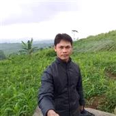 Mơ t