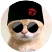 Cánh