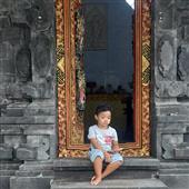 Hổ M