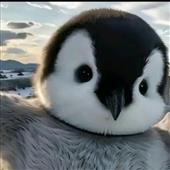 Phù 