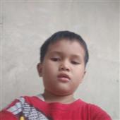Dự đ
