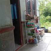 Mẹo 