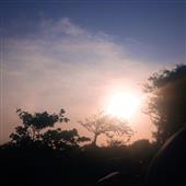 Tỷ l