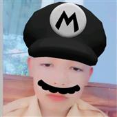 Mèo 