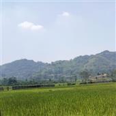 Trận