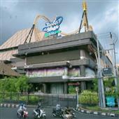 Trực
