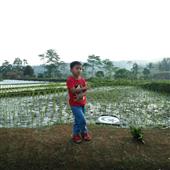 Chiế