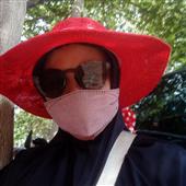 Trực