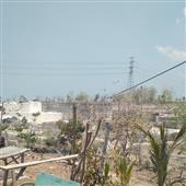 Lịch