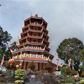 Trực
