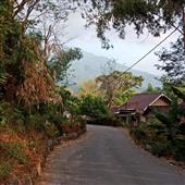 Bản 