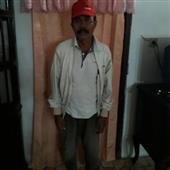 Cung