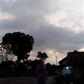 Thể 